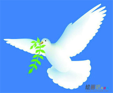 和平鸽简笔画:传递和平的鸽子 和平鸽简笔画:传递和平的鸽子