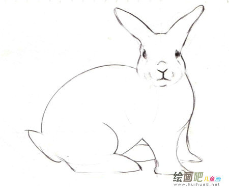 兔子简笔画:我爱小白兔 兔子简笔画:我爱小白兔