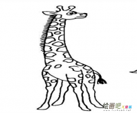 /jianbihua/dongwujianbi/49906.html