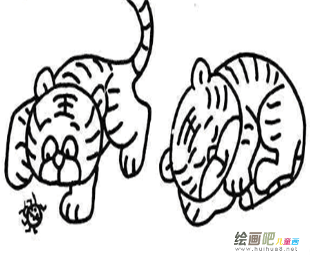 老虎简笔画:没牙的老虎 老虎简笔画:没牙的老虎