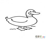 /jianbihua/dongwujianbi/50195.html