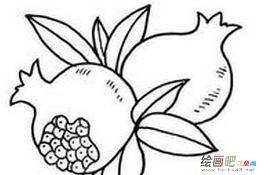 水果简笔画:秋天的水果 水果简笔画:秋天的水果