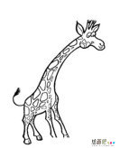 /jianbihua/dongwujianbi/50042.html