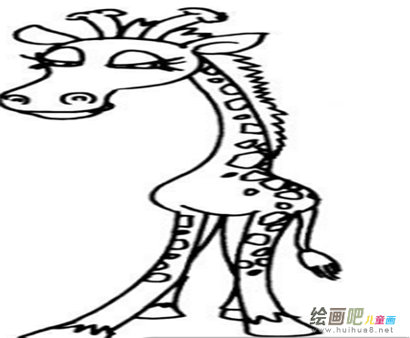 长颈鹿简笔画:爱运动的长颈鹿 长颈鹿简笔画:爱运动的长颈鹿