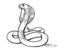 /jianbihua/dongwujianbi/50302.html