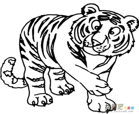 老虎简笔画:美丽的老虎滩 老虎简笔画:美丽的老虎滩