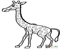 /jianbihua/dongwujianbi/50011.html