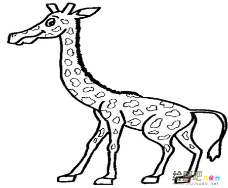 长颈鹿简笔画:小兔和长颈鹿 长颈鹿简笔画:小兔和长颈鹿