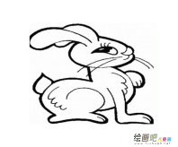 /jianbihua/dongwujianbi/50100.html