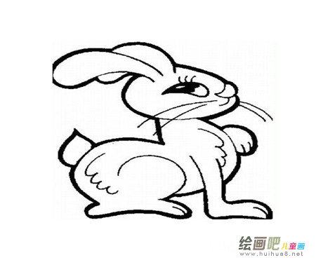 兔子简笔画:我的毛绒小兔子 兔子简笔画:我的毛绒小兔子