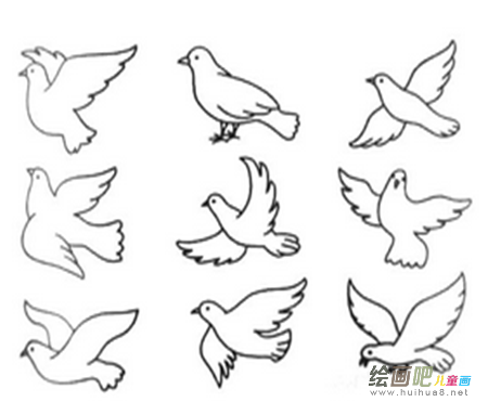 和平鸽简笔画:和平 和平鸽 和平鸽简笔画:和平 和平鸽