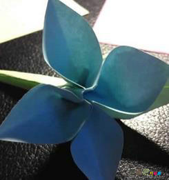 折纸大全:手工折纸四瓣花的方法 折纸大全:手工折纸四瓣花的方法