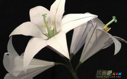 折纸大全：折百合花的方法步骤