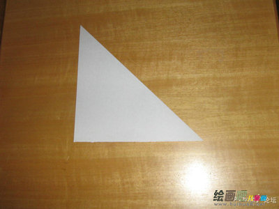 袋鼠2