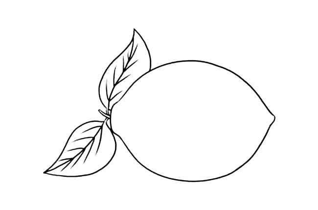 柠檬简笔画图片
