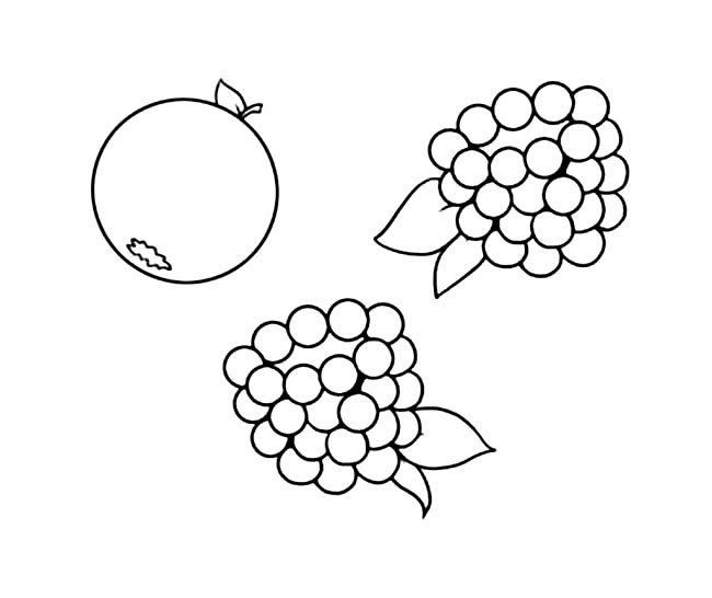 蓝莓简笔画图片