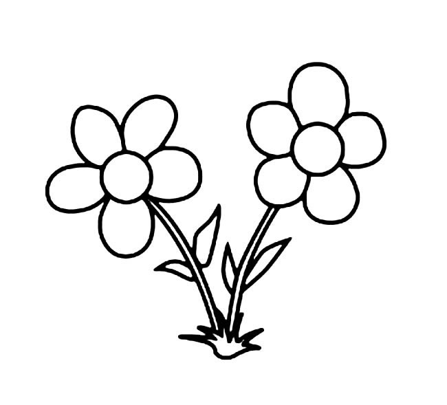 卡通花朵简笔画图片