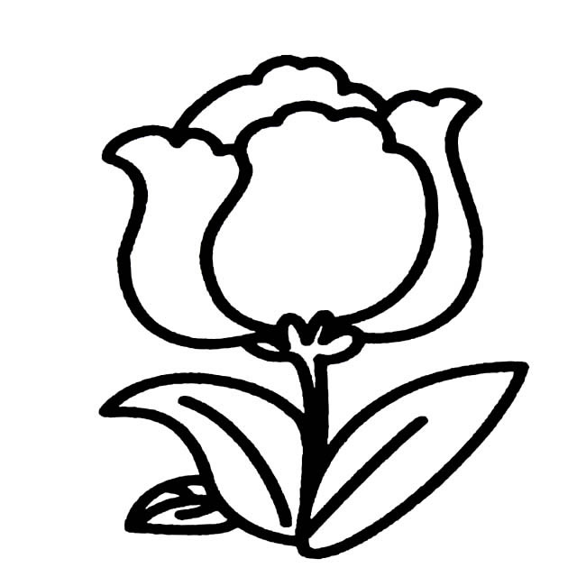 花朵植物花简笔画步骤图片大全