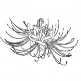 /jianbihua/shenghuojianbi/19602.html