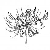 /jianbihua/shenghuojianbi/19582.html