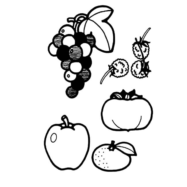水果葡萄简笔画步骤图片大全