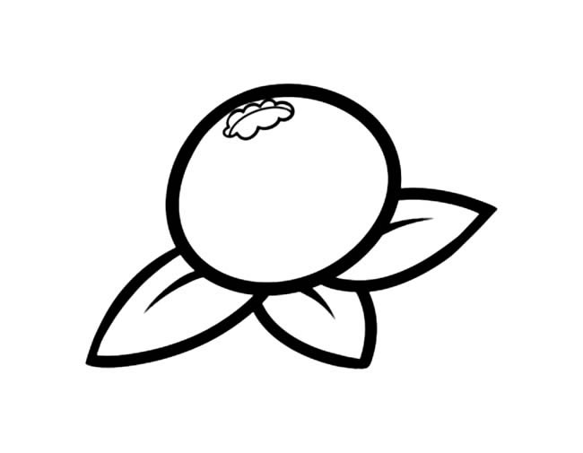 蓝梅水果简笔画步骤图片大全