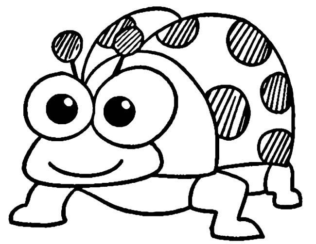 七星瓢虫昆虫简笔画步骤图片大全