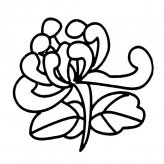 /jianbihua/shenghuojianbi/19596.html