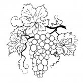 /jianbihua/shenghuojianbi/19900.html