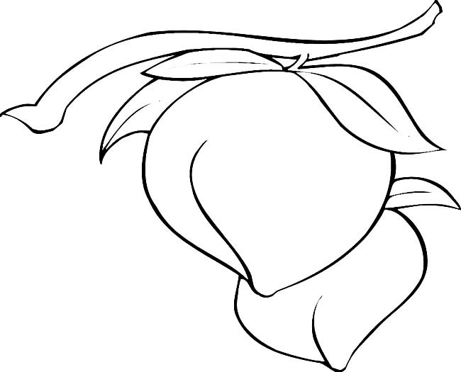 水蜜桃简笔画图片