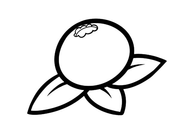 蓝莓简笔画图片