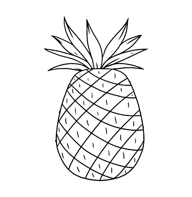 菠萝简笔画图片