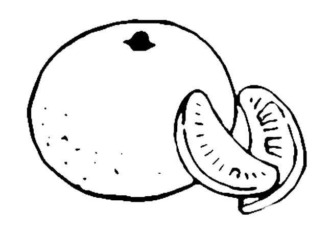 橘子简笔画图片