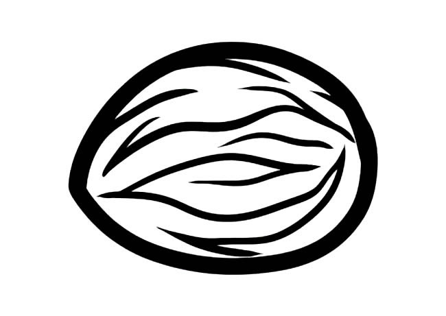 椰子简笔画图片