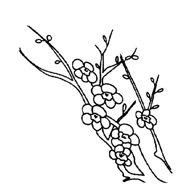 梅花简笔画图片