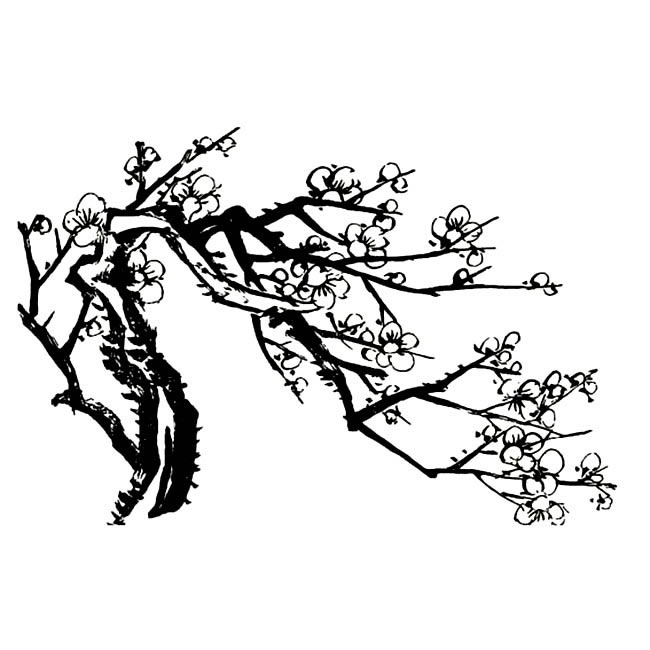 梅花简笔画图片