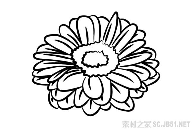 花朵简笔画图片