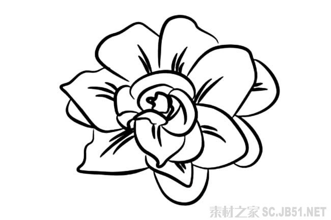 花朵简笔画图片