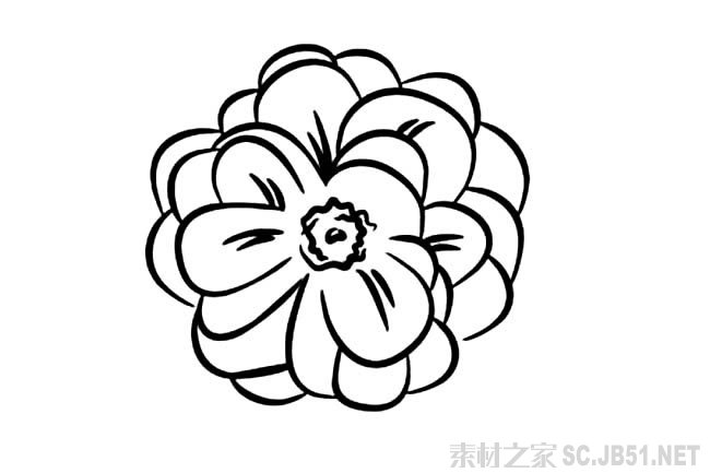 花朵简笔画图片