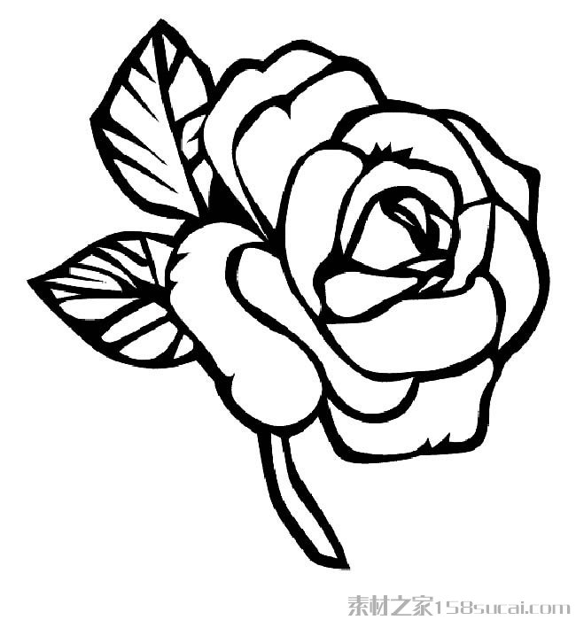 玫瑰花简笔画图片