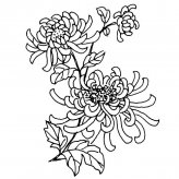 /jianbihua/shenghuojianbi/19719.html