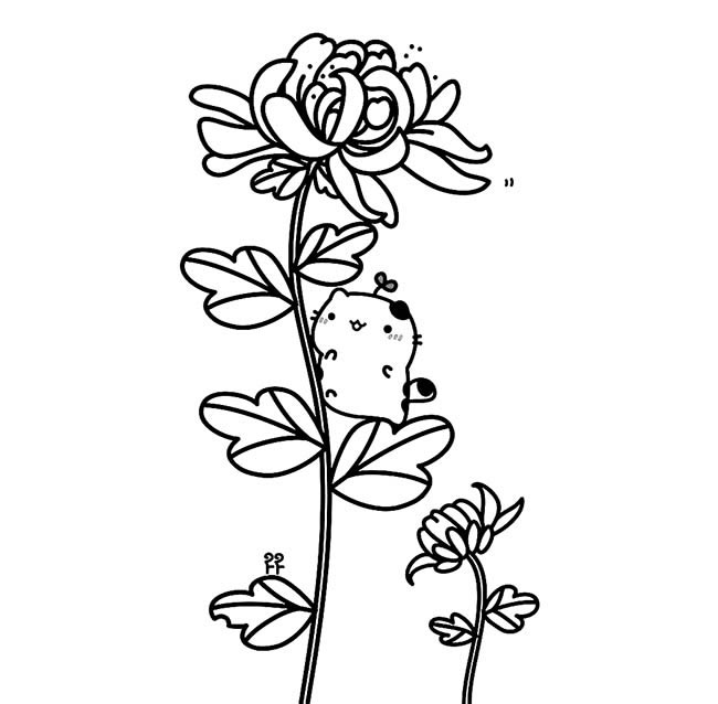手绘菊花简笔画图片