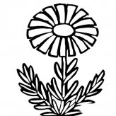 /jianbihua/shenghuojianbi/19458.html