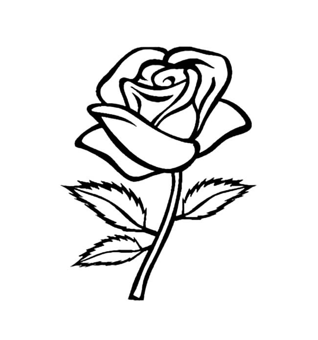 手绘玫瑰花简笔画图片