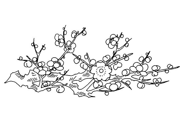 冬天的梅花简笔画图片