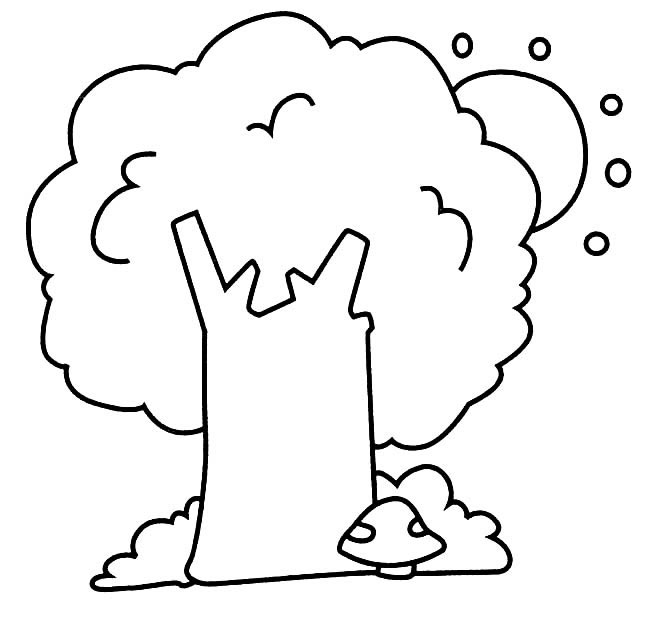 一棵大树简笔画图片