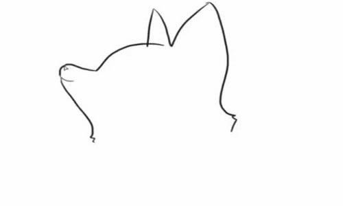 可爱的小狐狸简笔画