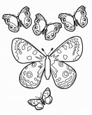 /jianbihua/dongwujianbi/20902.html