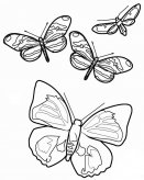 /jianbihua/dongwujianbi/20877.html