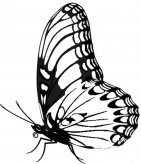 /jianbihua/dongwujianbi/20864.html